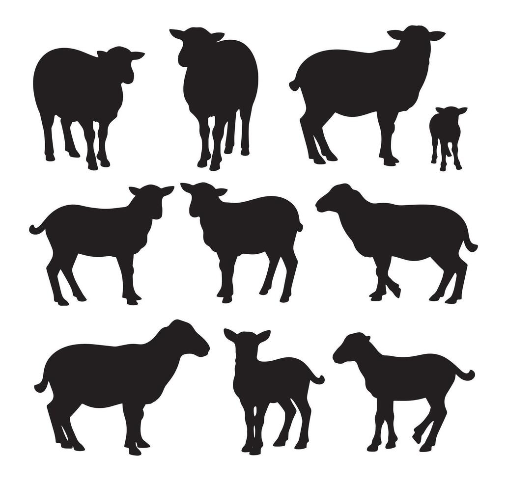 Sheep silhouette, illustration. Ideal for farm, livestock, and animal-themed designs. vector