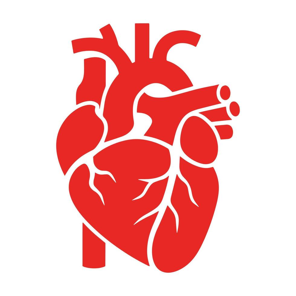 Real human heart organ icon in red, flat style. illustration ideal for medical designs, health symbols, and anatomy projects. Perfect for educational and healthcare-related visuals. vector