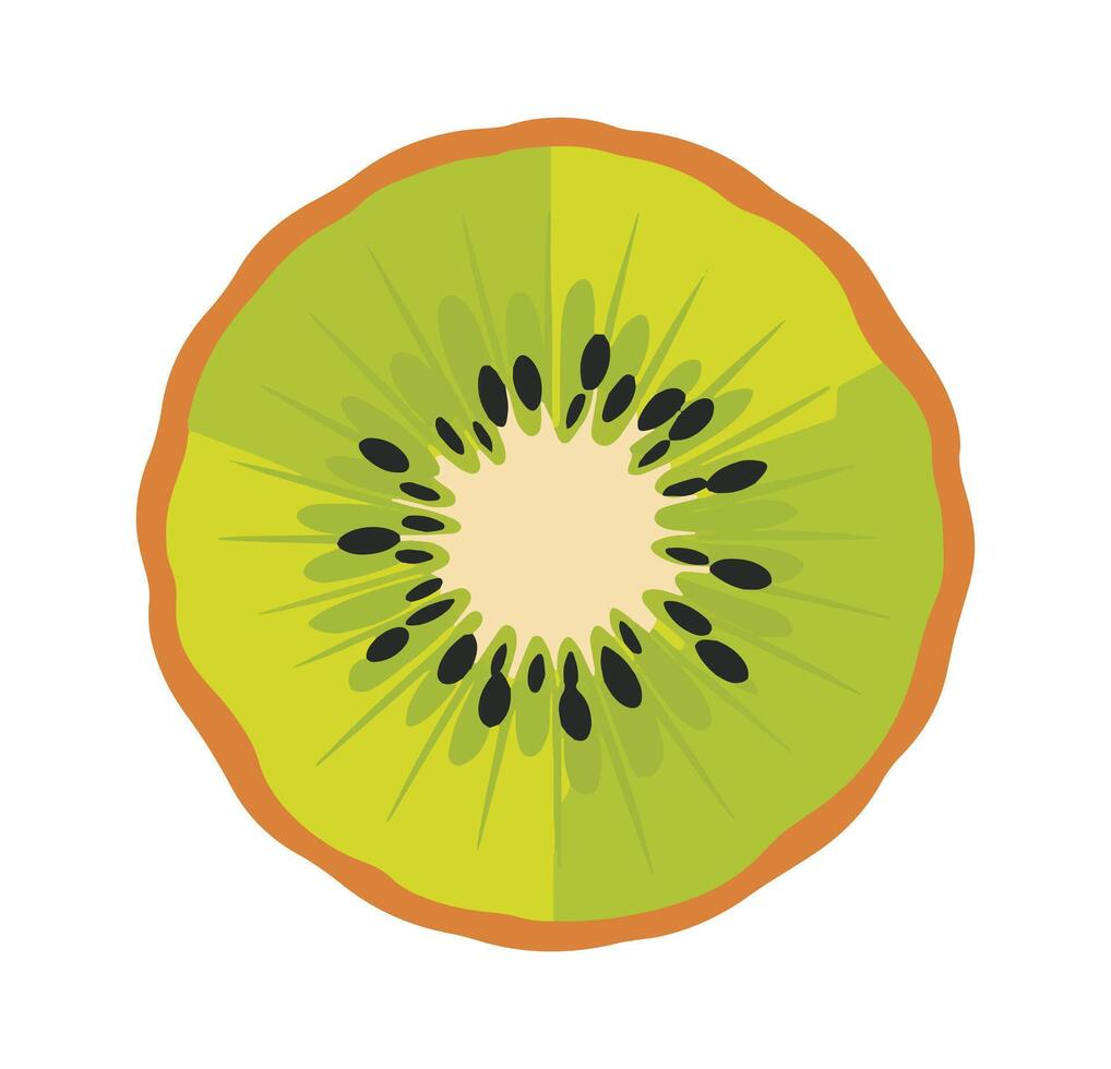 Kiwi icon. Flat design illustration of a kiwi on a white background vector