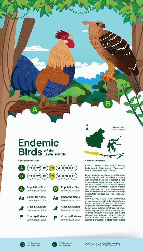Indonesian Javanese endemic aves flat illustration for science book idea vector