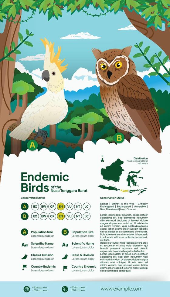 West Nusa Tenggara endemic birds flat illustration conservation status poster vector