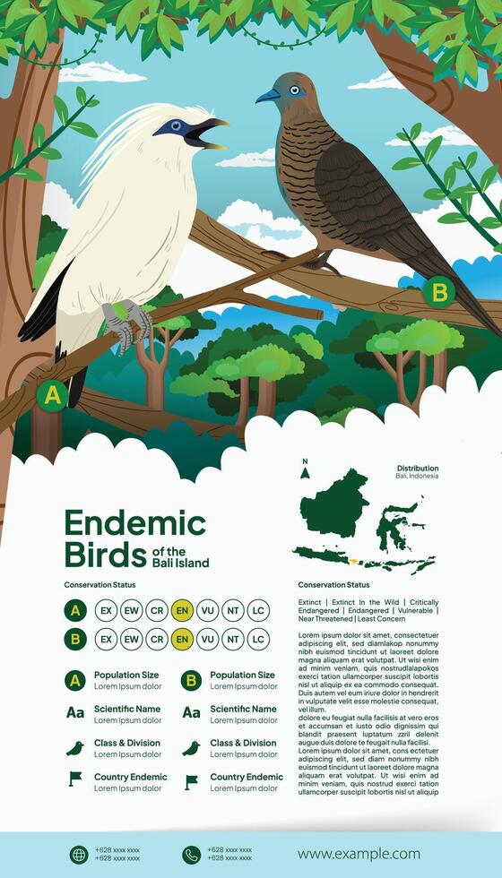 Balinese endemic aves flat illustration for science book idea vector