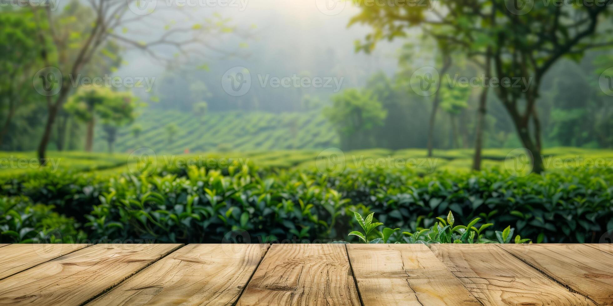 A serene and tranquil view of the lush green tea fields beautifully captured from a charming wooden deck photo