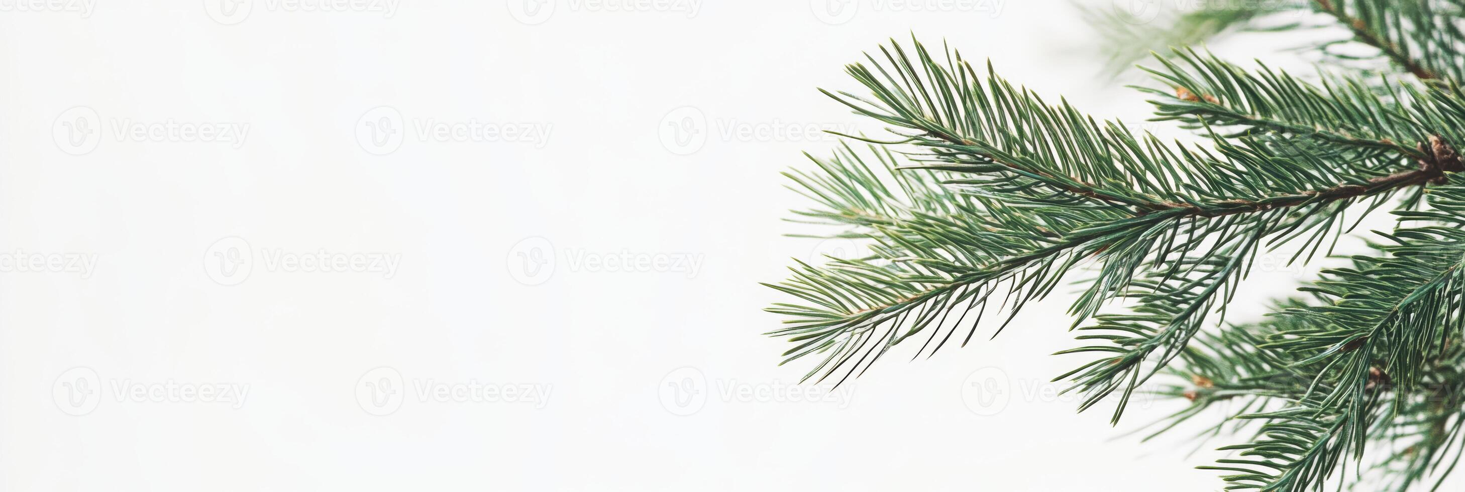 A lush green fir branch significantly enhances holiday decorations, adding a unique and natural touch to every festive setting, making it perfect for creating garlands and beautiful indoor decor photo