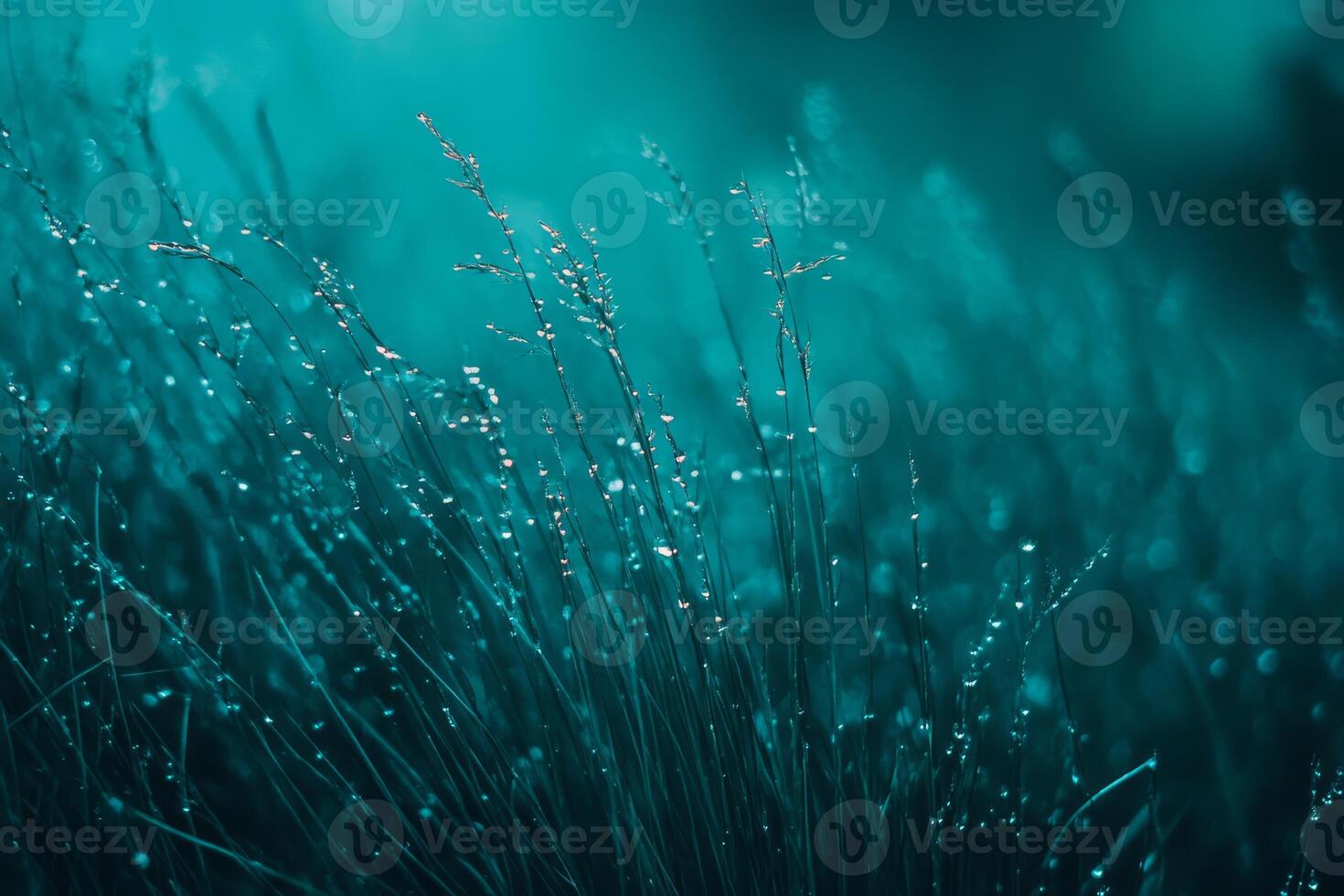 A mesmerizing closeup view of vibrant turquoise grass sprinkled with glistening dew drops, which come together to create an ethereal and exceptionally soothing ambiance that captivates the senses photo
