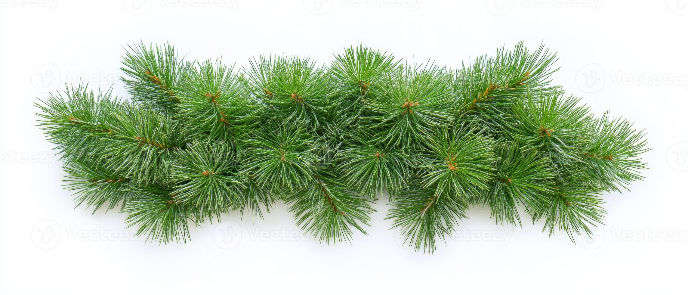 A beautifully lush green fir garland is the perfect choice for festive decoration, enhancing both holiday interiors and exteriors with a delightful and lovely touch of natures inherent beauty photo