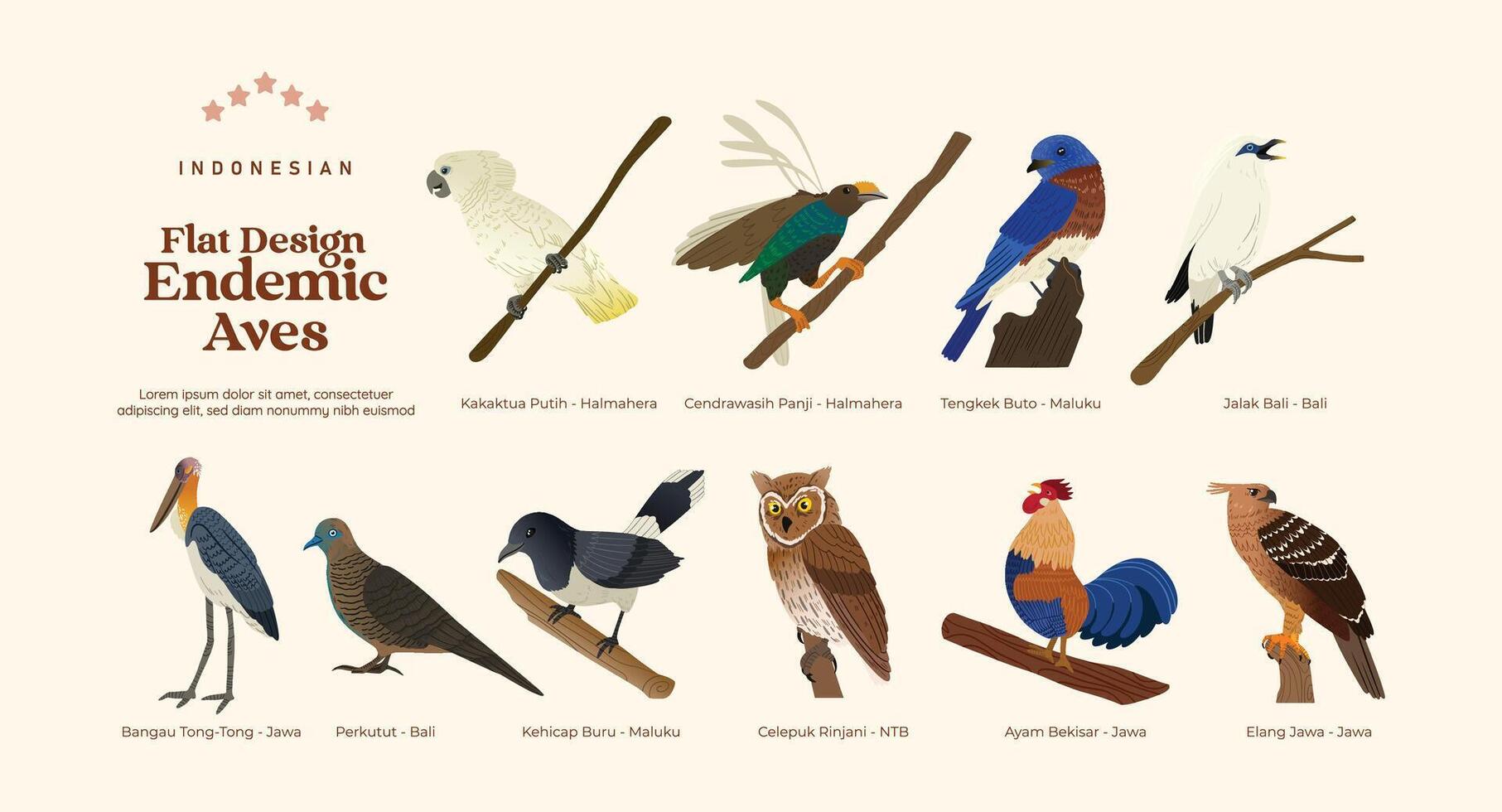 Flat design Isolated Indonesian endemic aves birds illustration vector