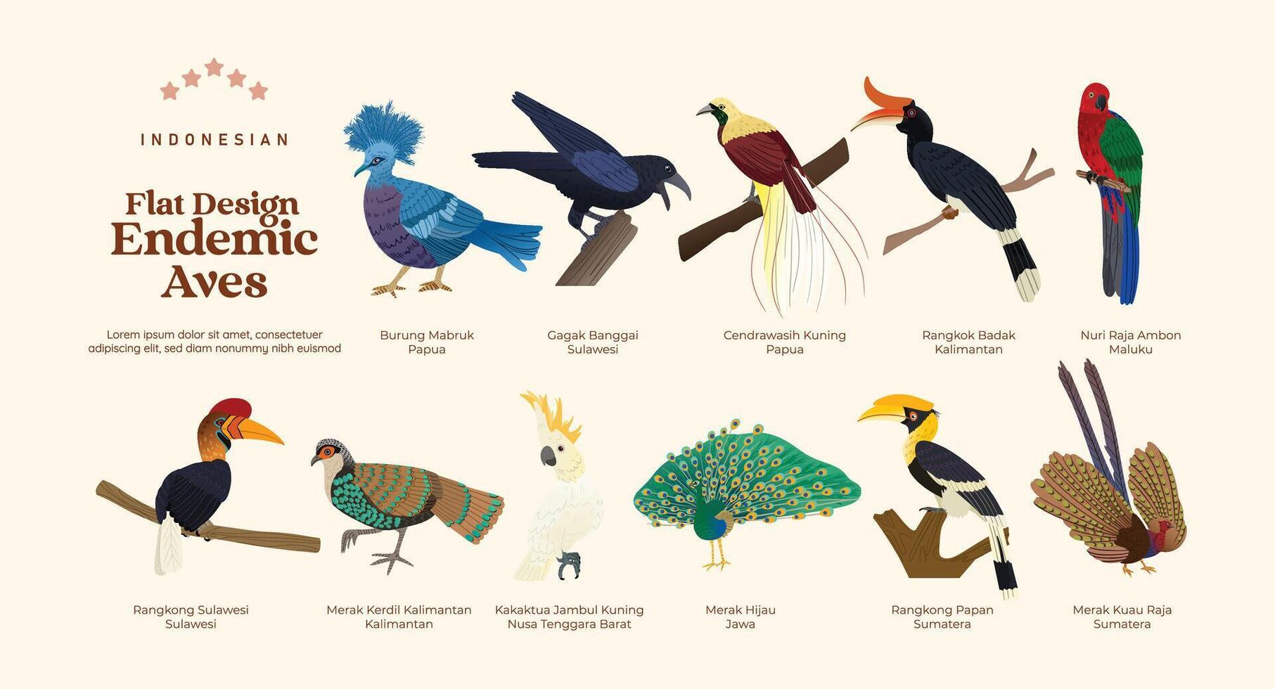 Flat design Isolated Indonesian endemic aves birds illustration vector