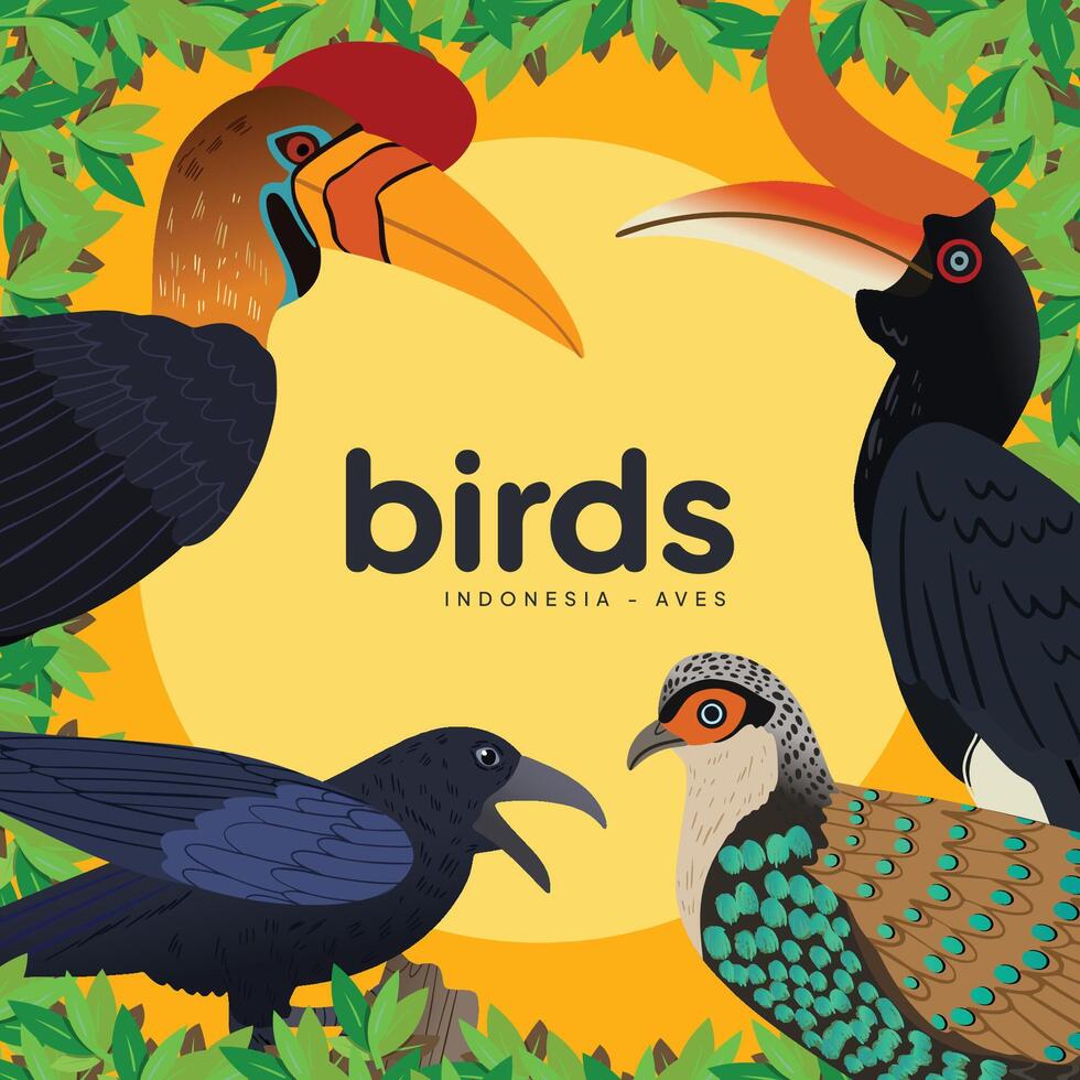 Colorful Birds Book Cover idea for kids and education vector