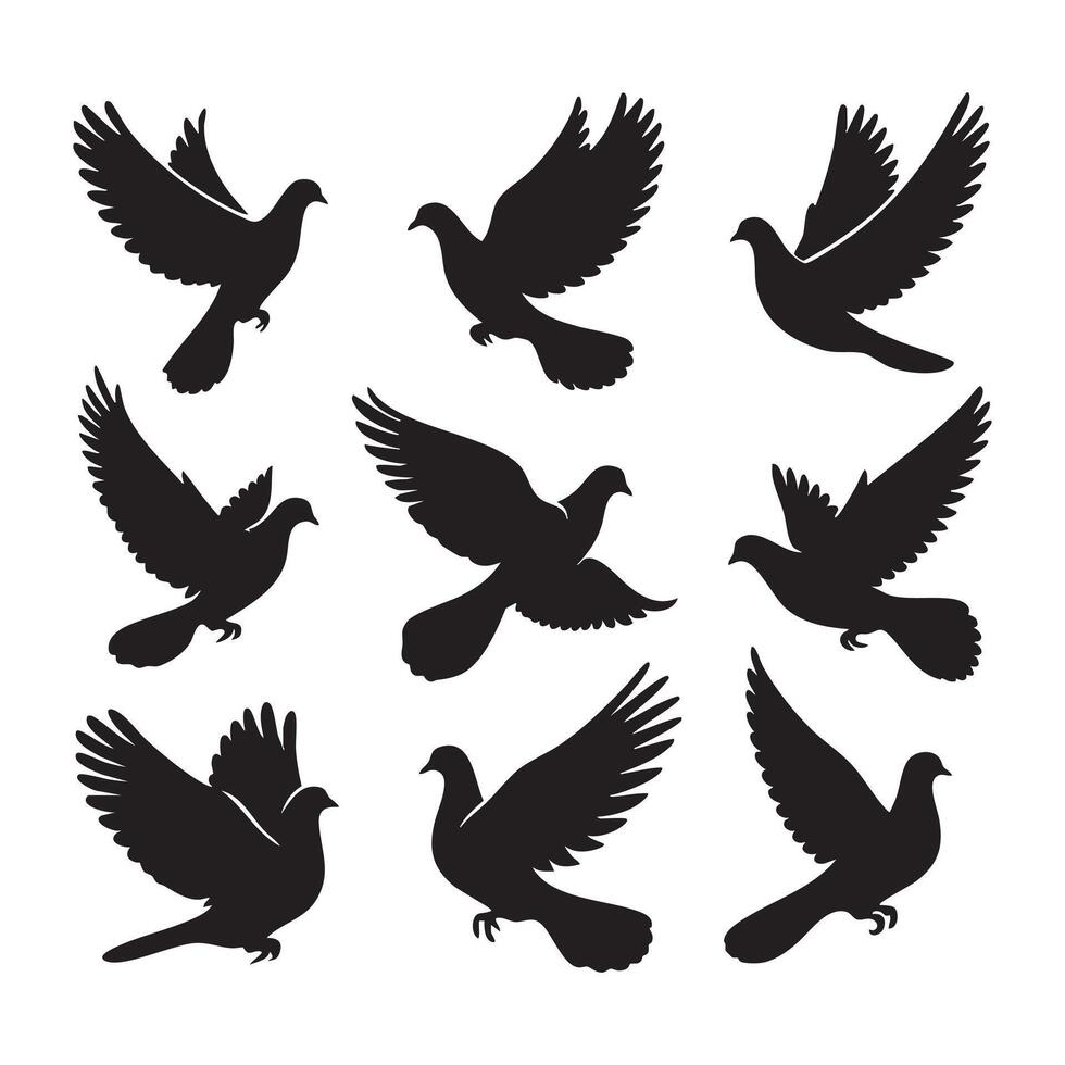 Arrangement of dove silhouettes vector