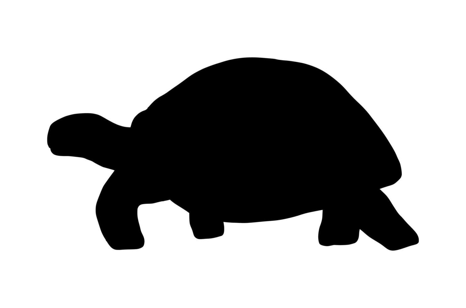 silhouette sea turtle isolated on white background. Hand drawn illustration ocean animal vector