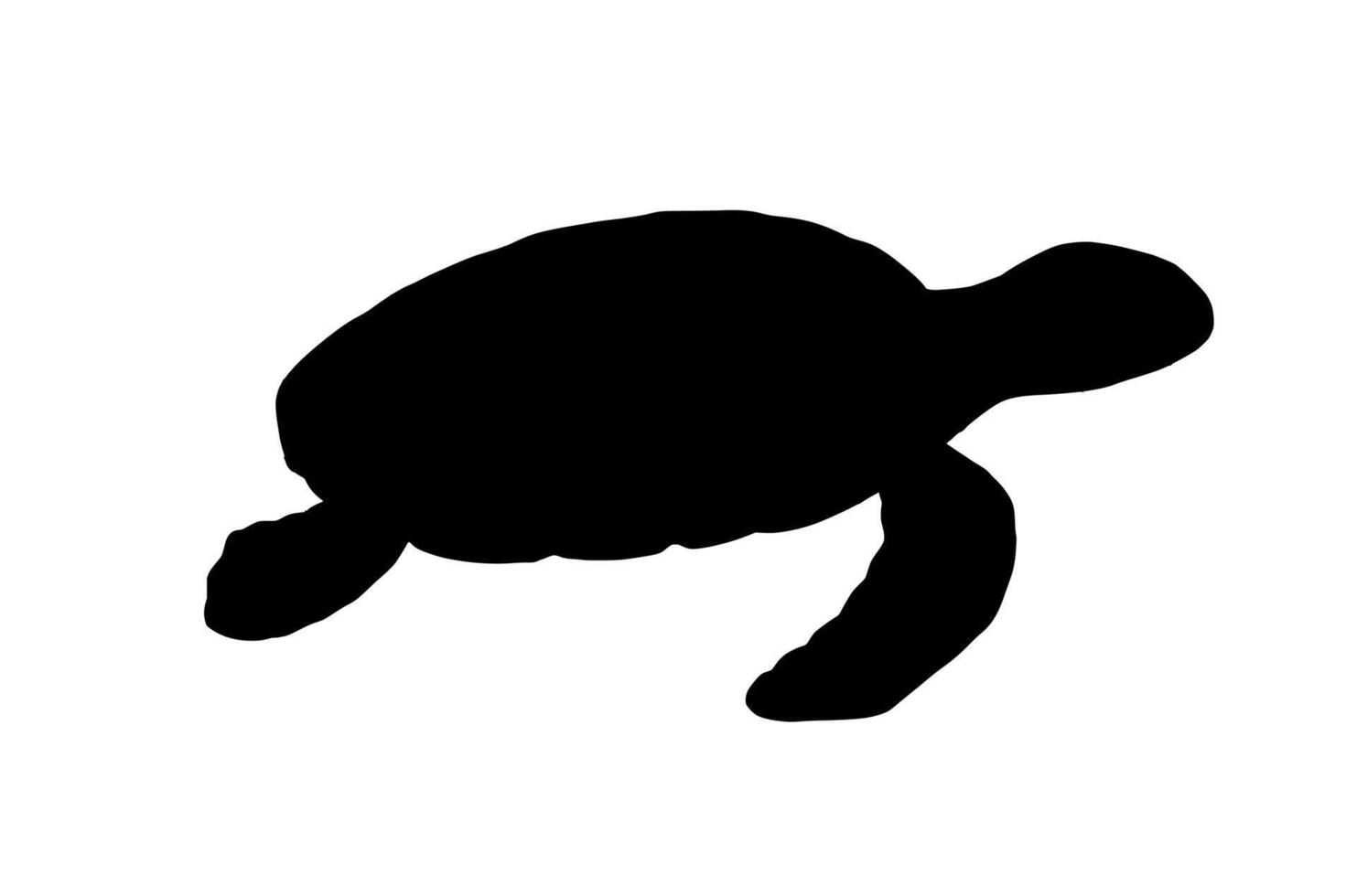 Swimming silhouette turtle isolated on white background. Hand drawn illustration ocean animal vector