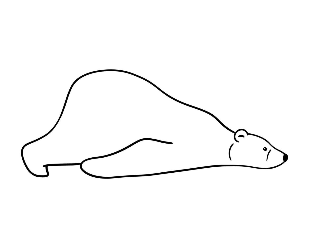 Funny polar bear is lying. outline illustration isolated on white. The North animal. vector