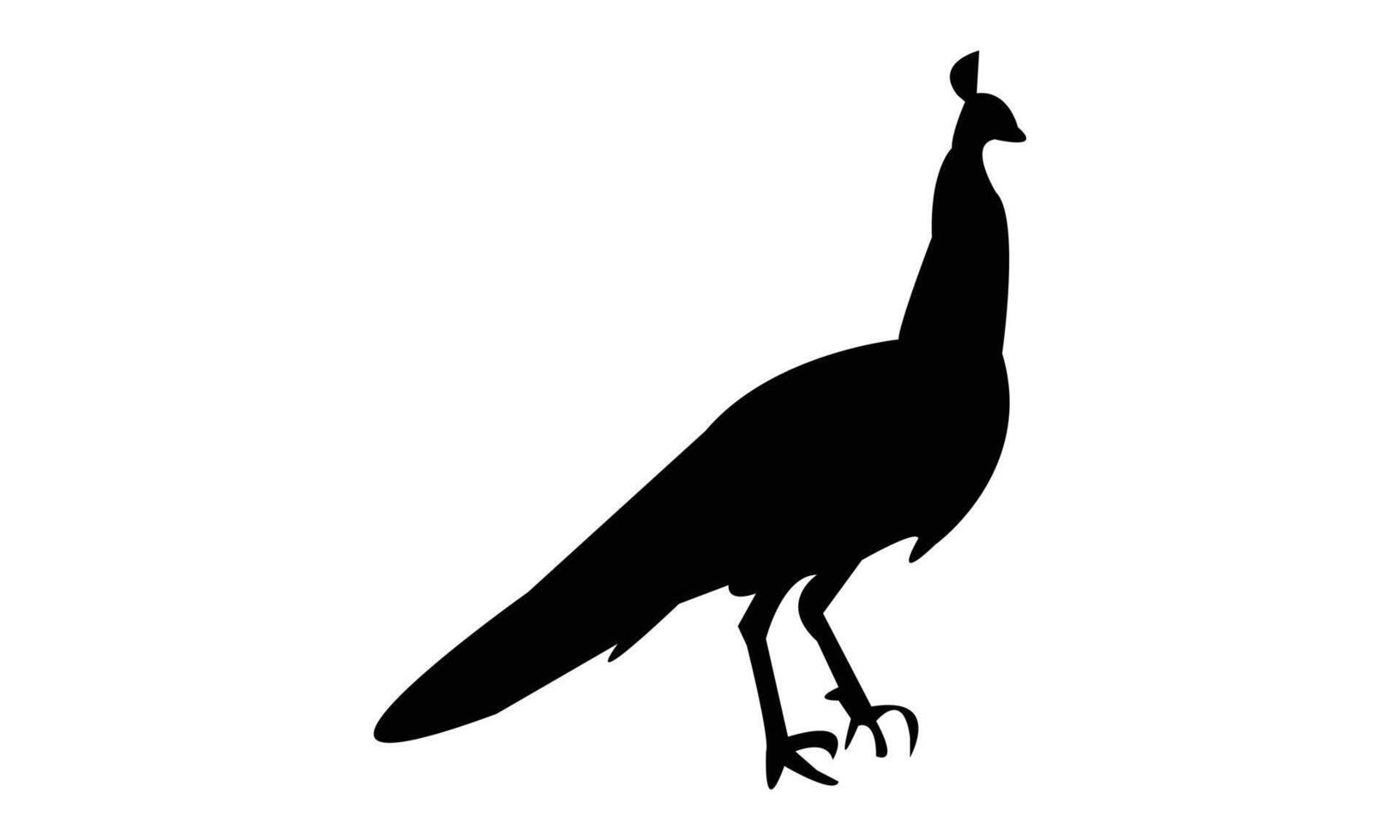 Peacock Black Silhouette vector