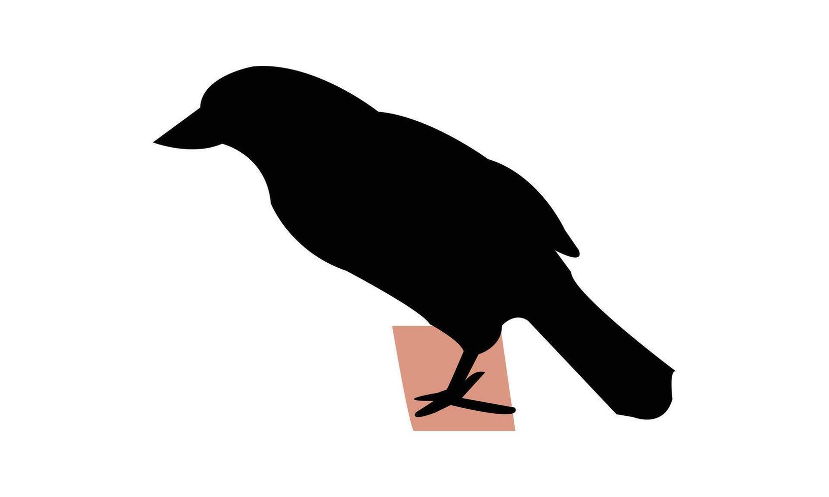 Vasantabauri Black Silhouette Design vector