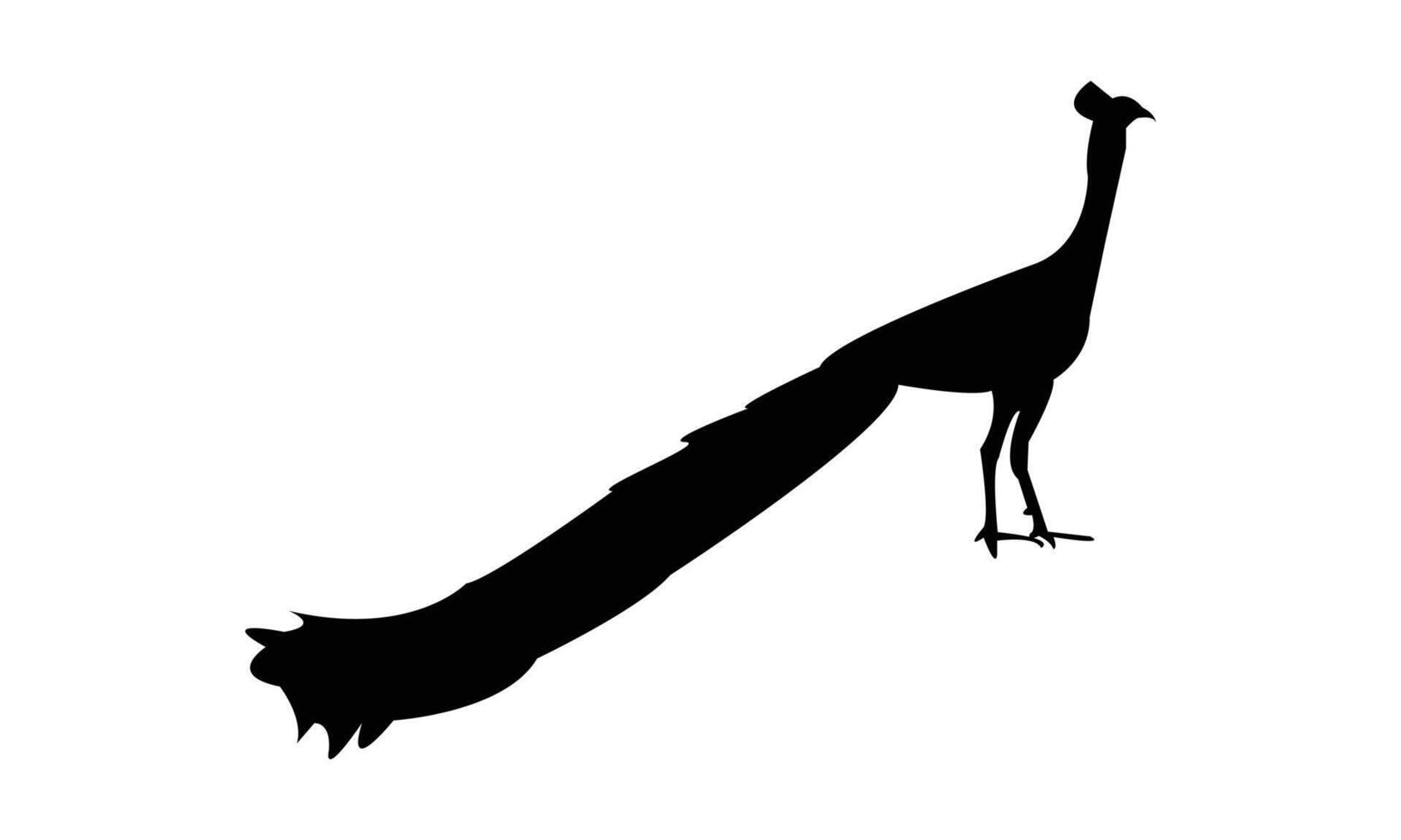 Peacock Silhouette Illustration vector