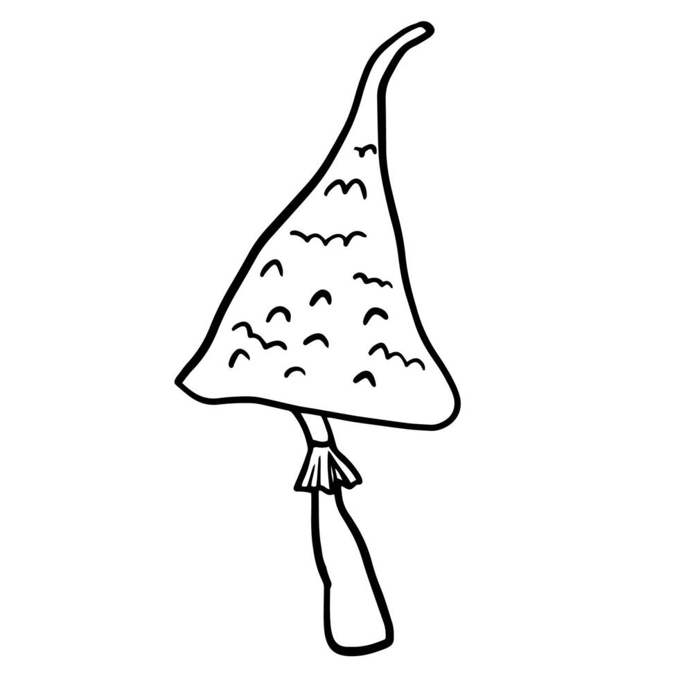 fairy mushroom with pointed cap, toadstool, psychedelic mushrooms doodle illustration isolated on white for poster, banner, souvenirs, t-shirt, card design. vector