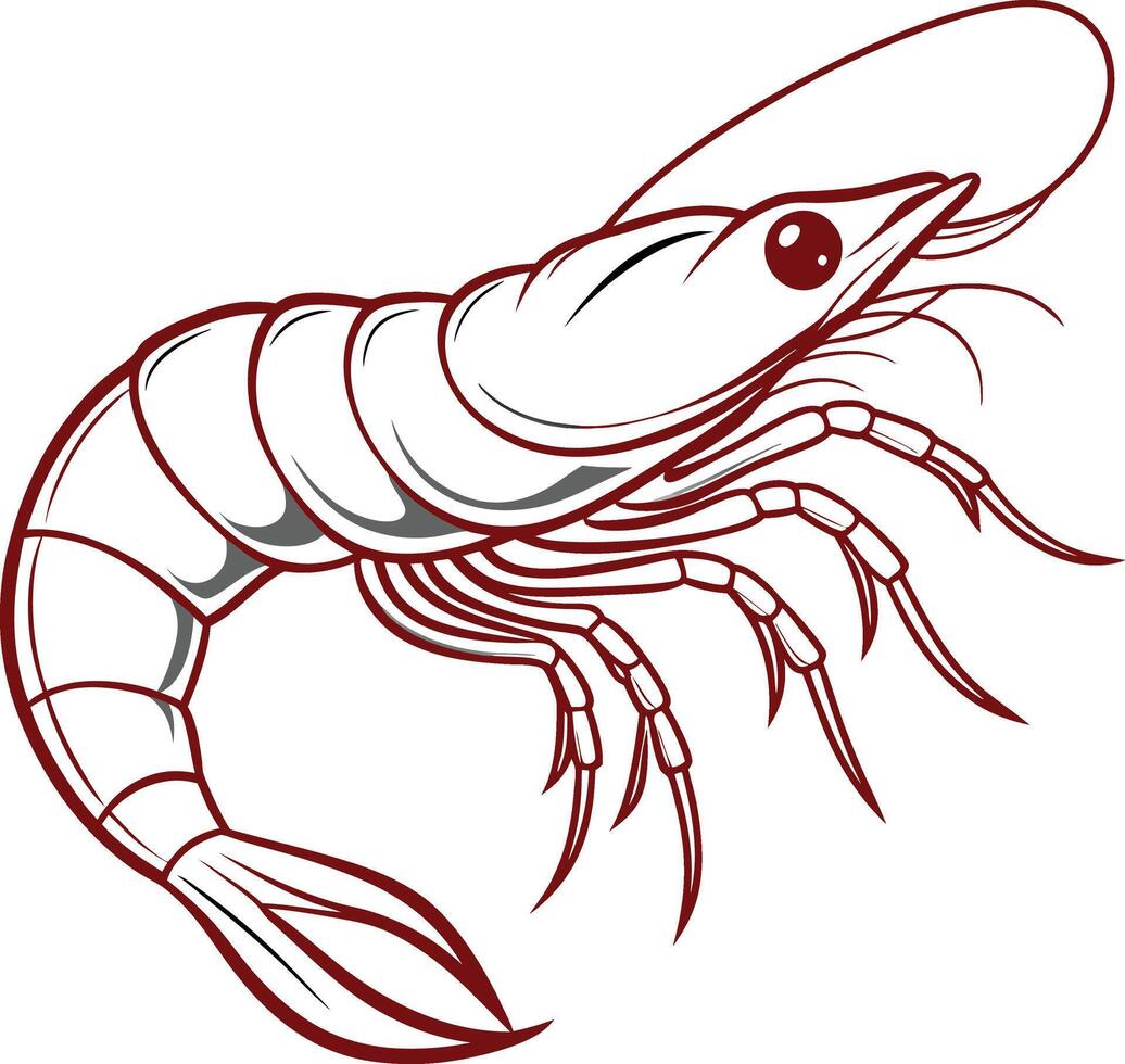 Shrimp line art vector