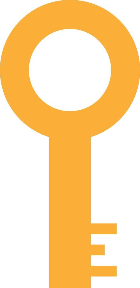Door Key Access vector