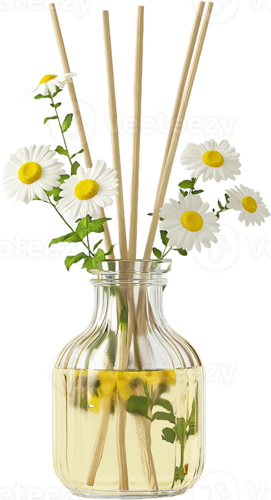 Remedy diffuser in glass vase png