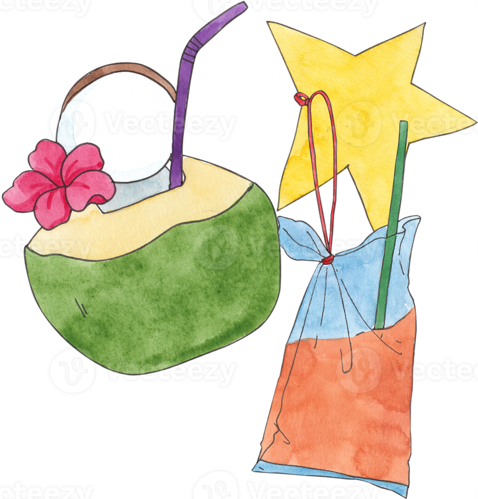 a coconut with a red flower and thai iced tea, hand-drawn watercolor illustration png