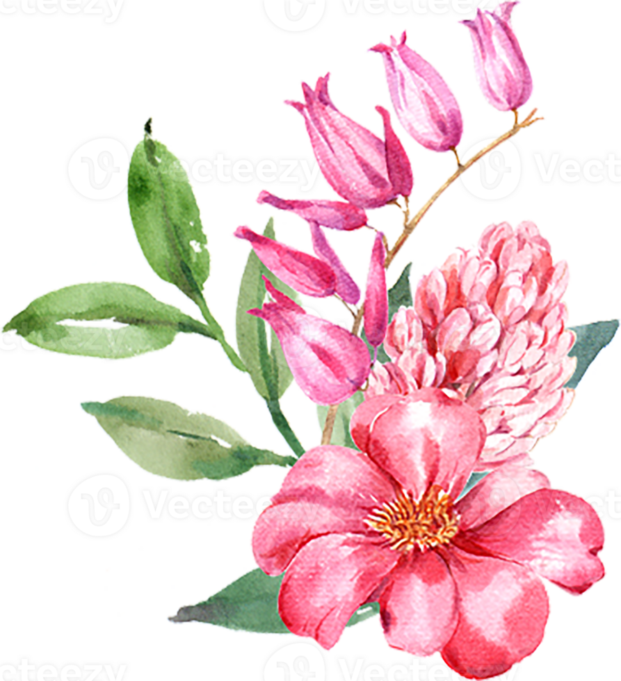 Handdrawn Spring flower watercolor png