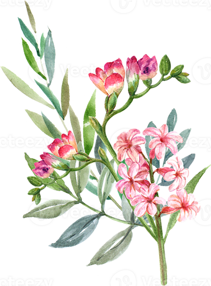 Handdrawn Spring flower watercolor png