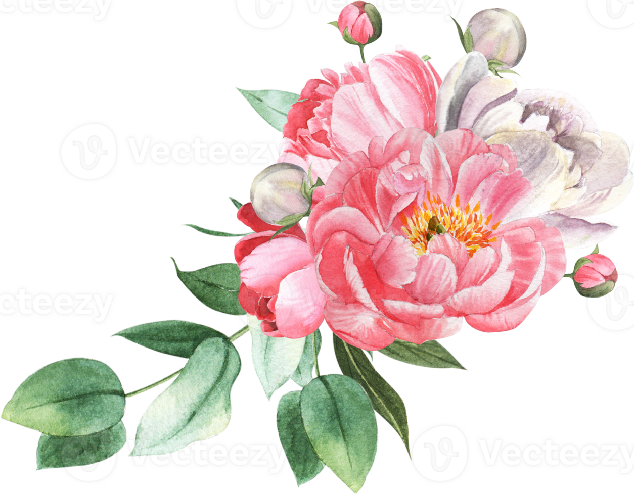 Handdrawn flower watercolor png