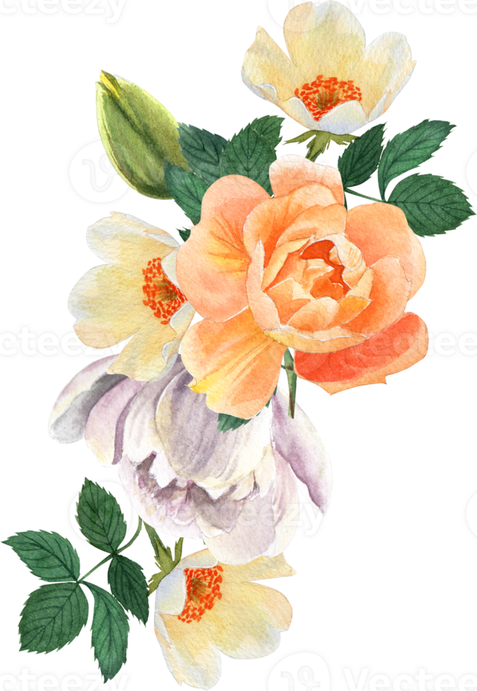 Handdrawn flower watercolor png