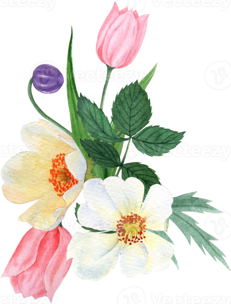 Handdrawn flower watercolor png