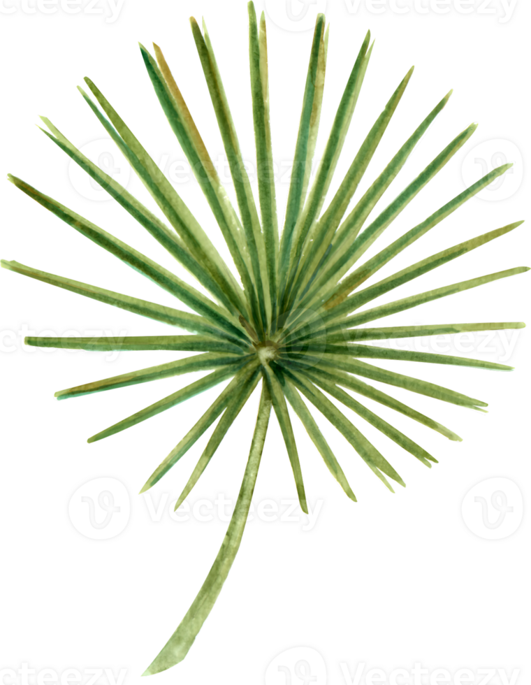 Handdrawn Tropical flower and animal watercolor png