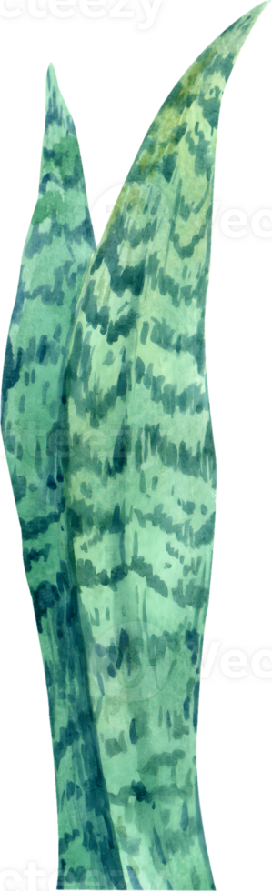 Handdrawn Tropical flower and animal watercolor png