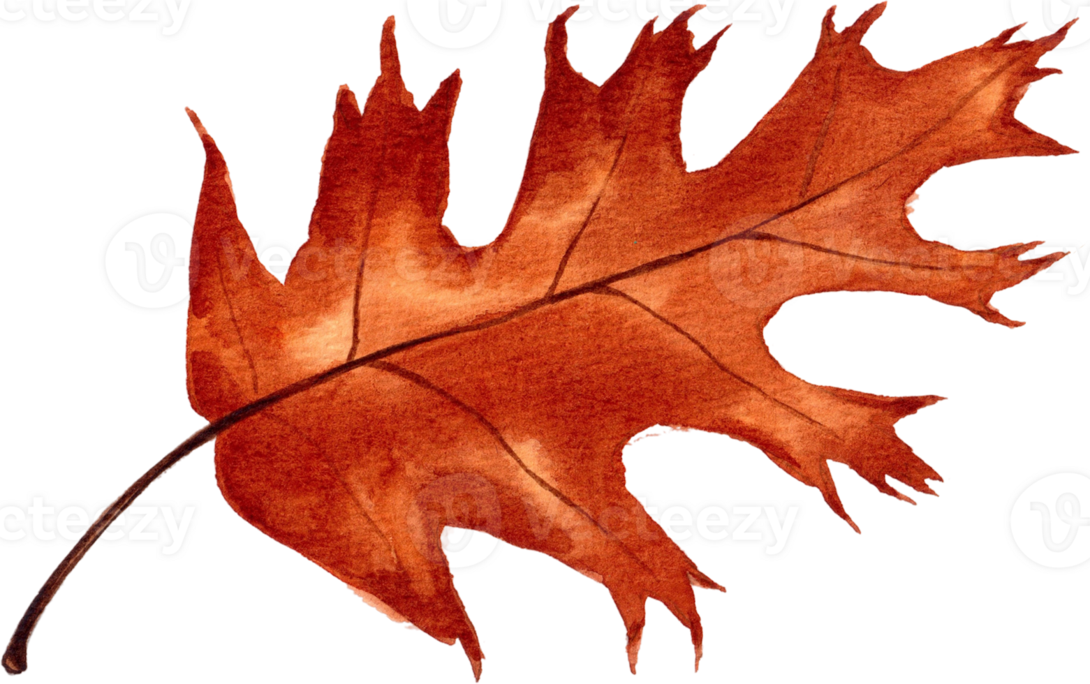 Handdrawn Autumn Treat Harvest watercolor png