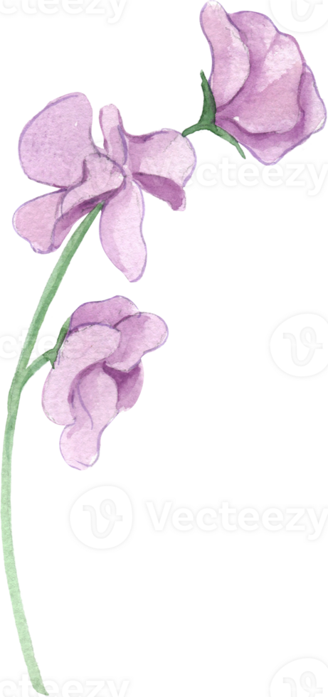 Handdrawn Piece of Sunny Skies Bouquet watercolor png