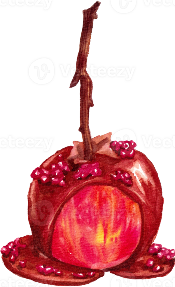 Handdrawn red apple with syrup watercolor png