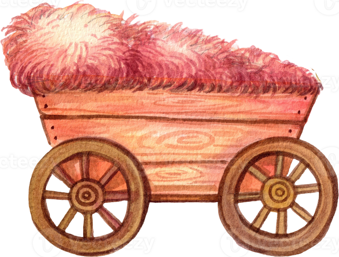 Handdrawn cowboy equipment and decor watercolor png