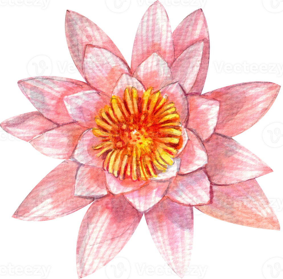 Handdrawn merit making Buddhism watercolor png