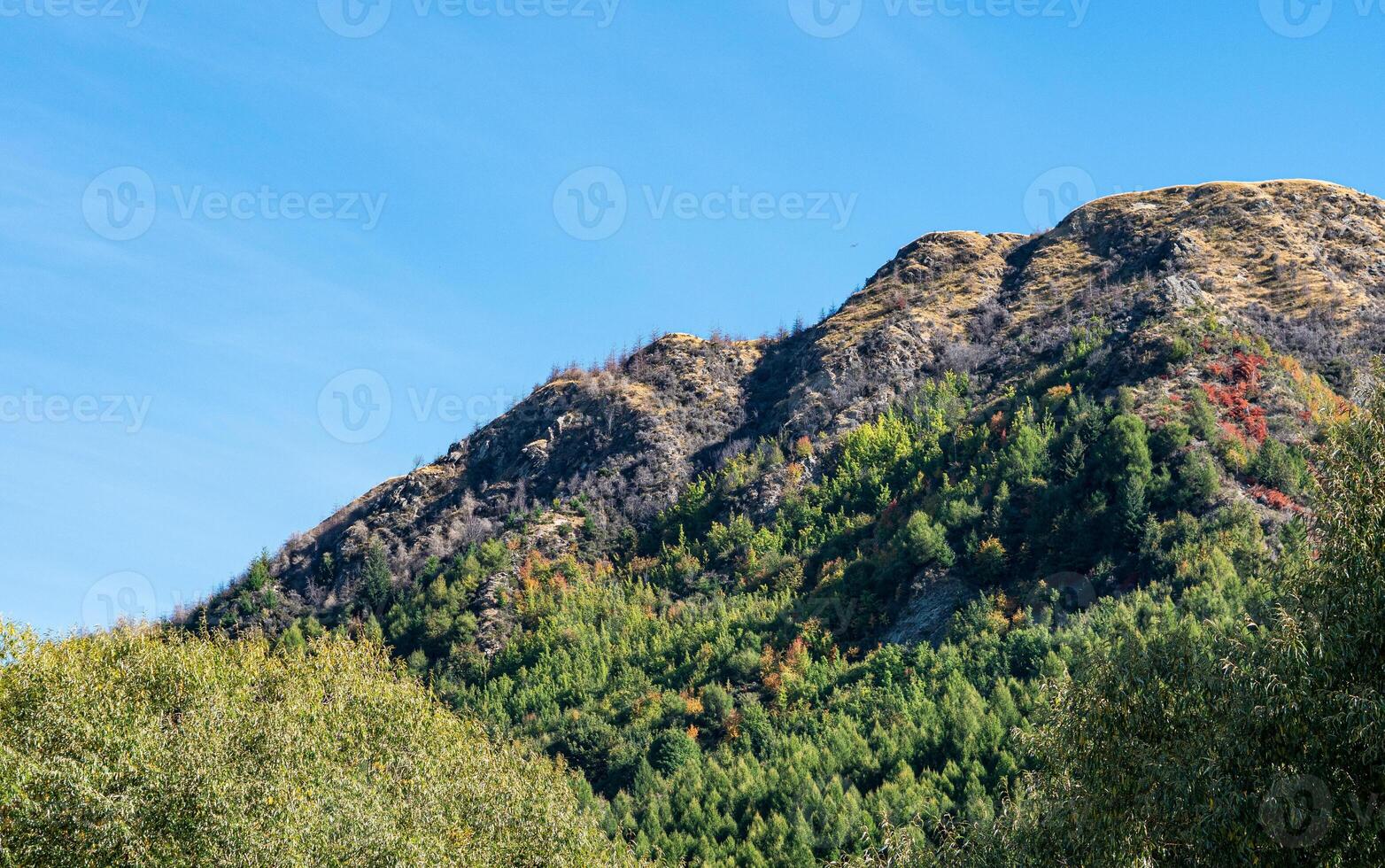 Hills mountains on a sunny clear day good weather covered in bush New Zealand photo