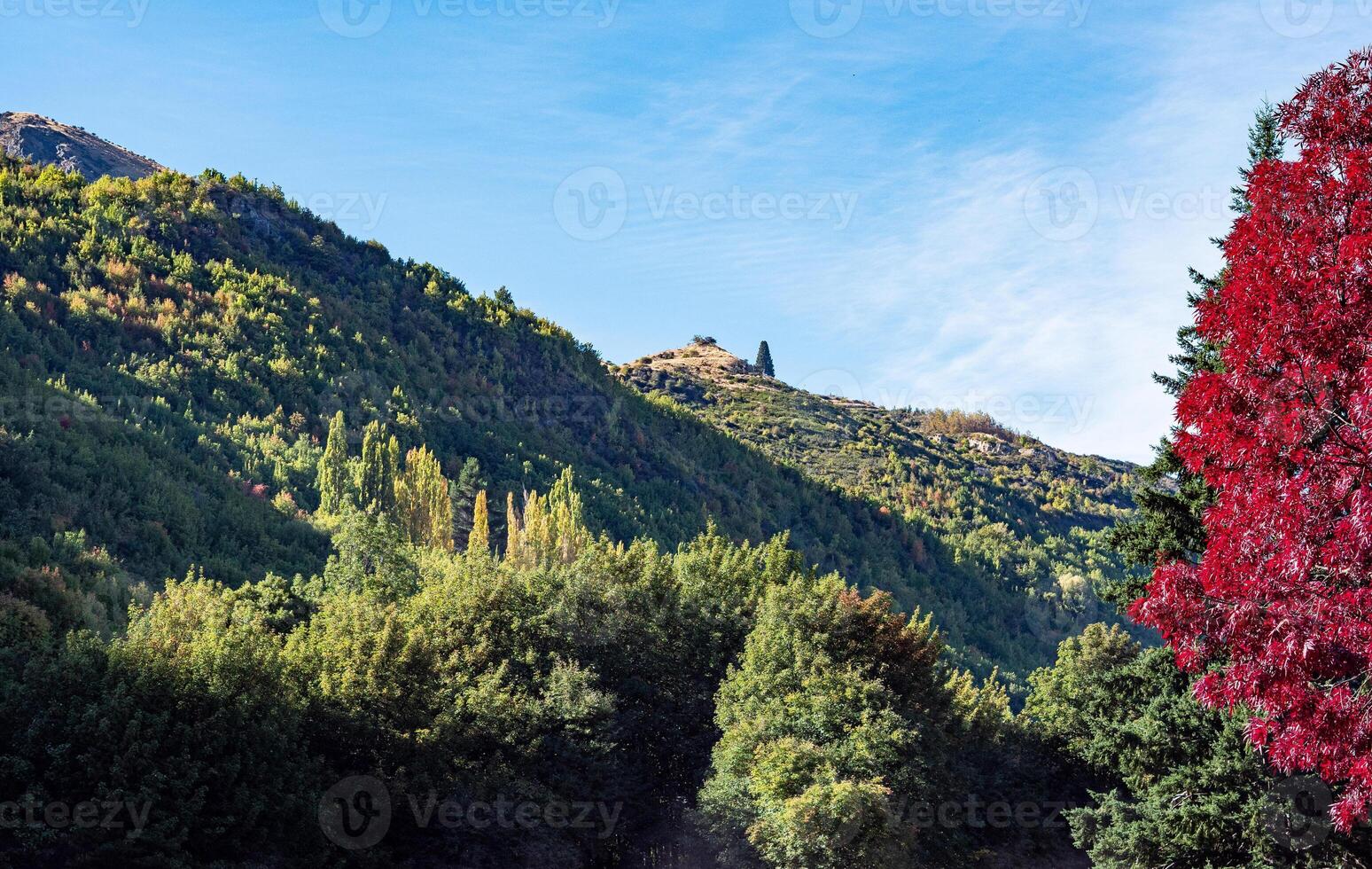 Hills mountains on a sunny clear day good weather covered in bush New Zealand photo