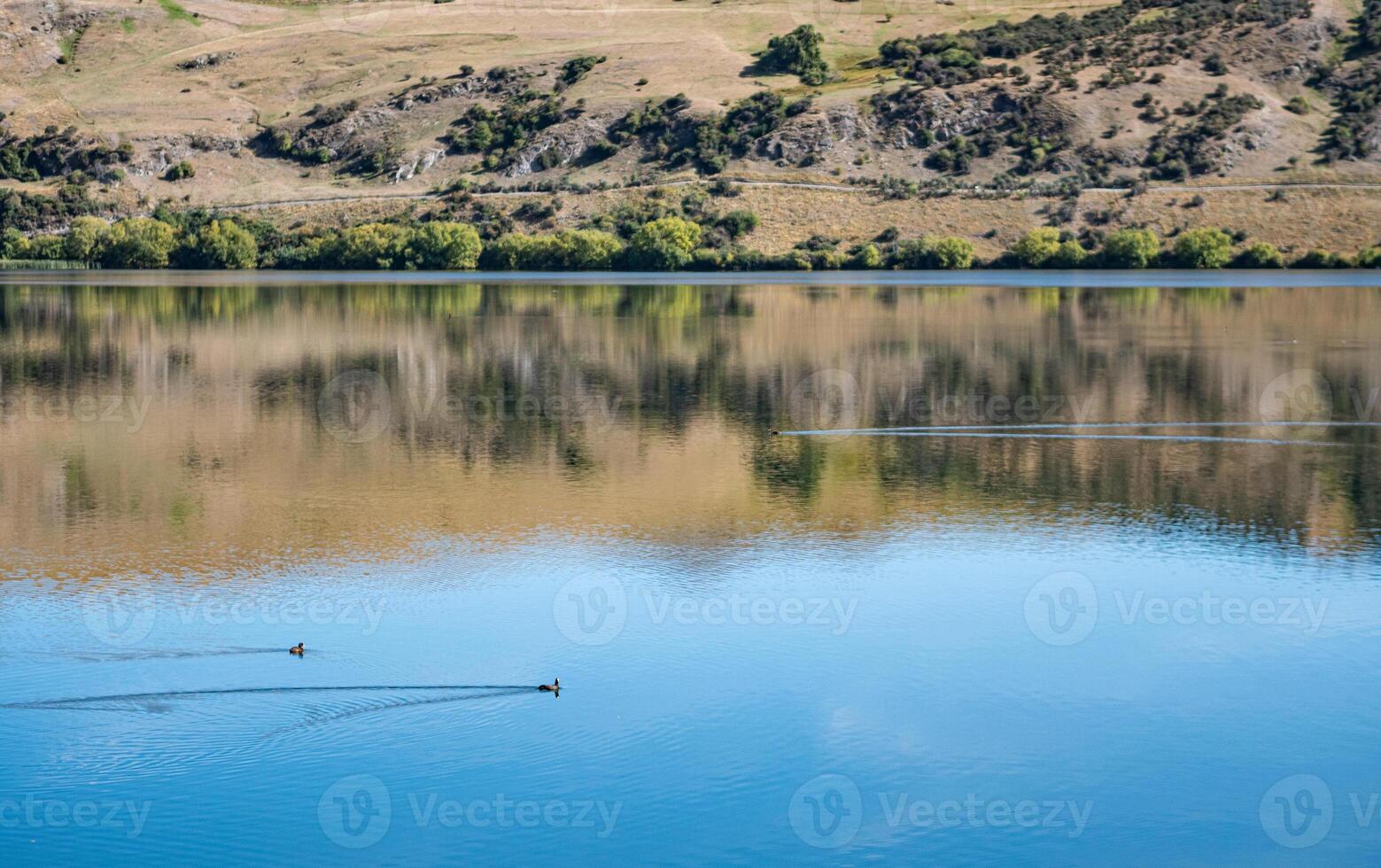 Gorgeous views of lake hayes in New zealand clear day hills photo