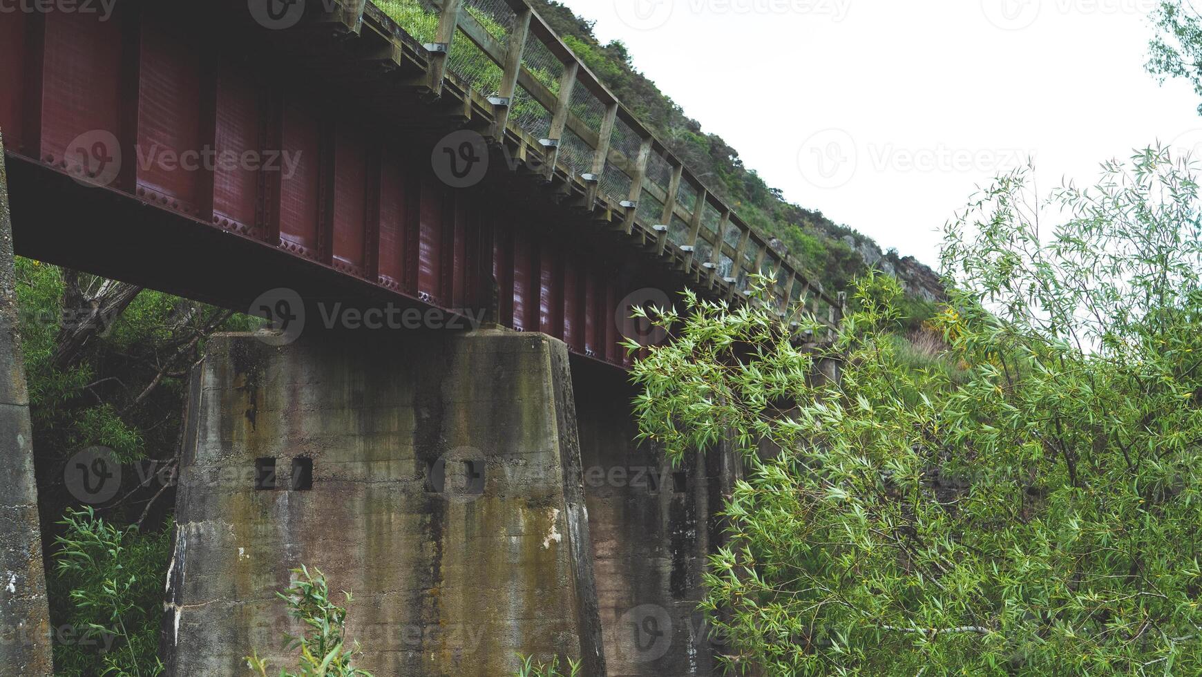 Images of a bridge overgrown from under industrial construction trees photo