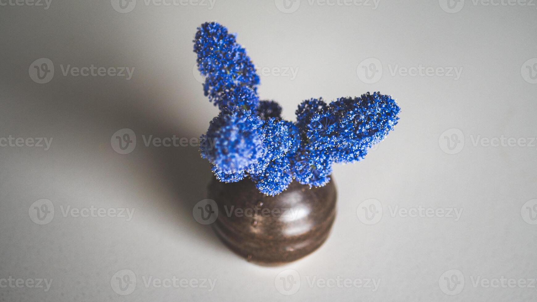 Beautiful delicate blue flower in a vase minimalistic simple photo