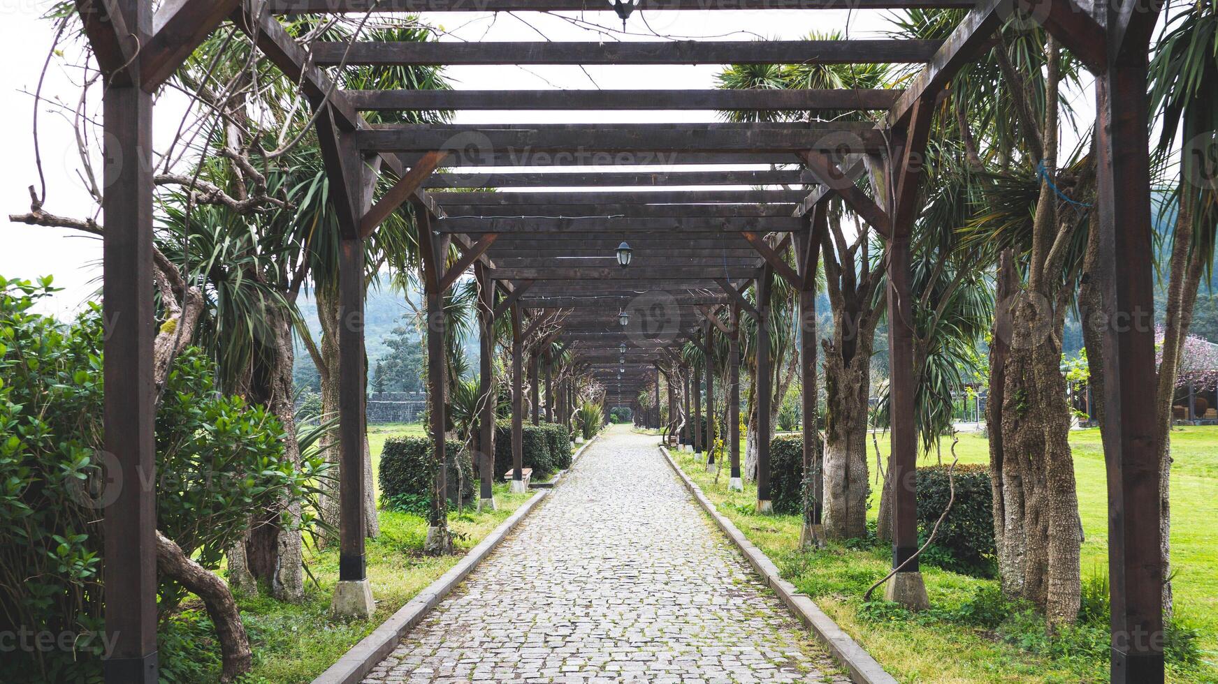 A path walking leading through park forest green trees plants around photo