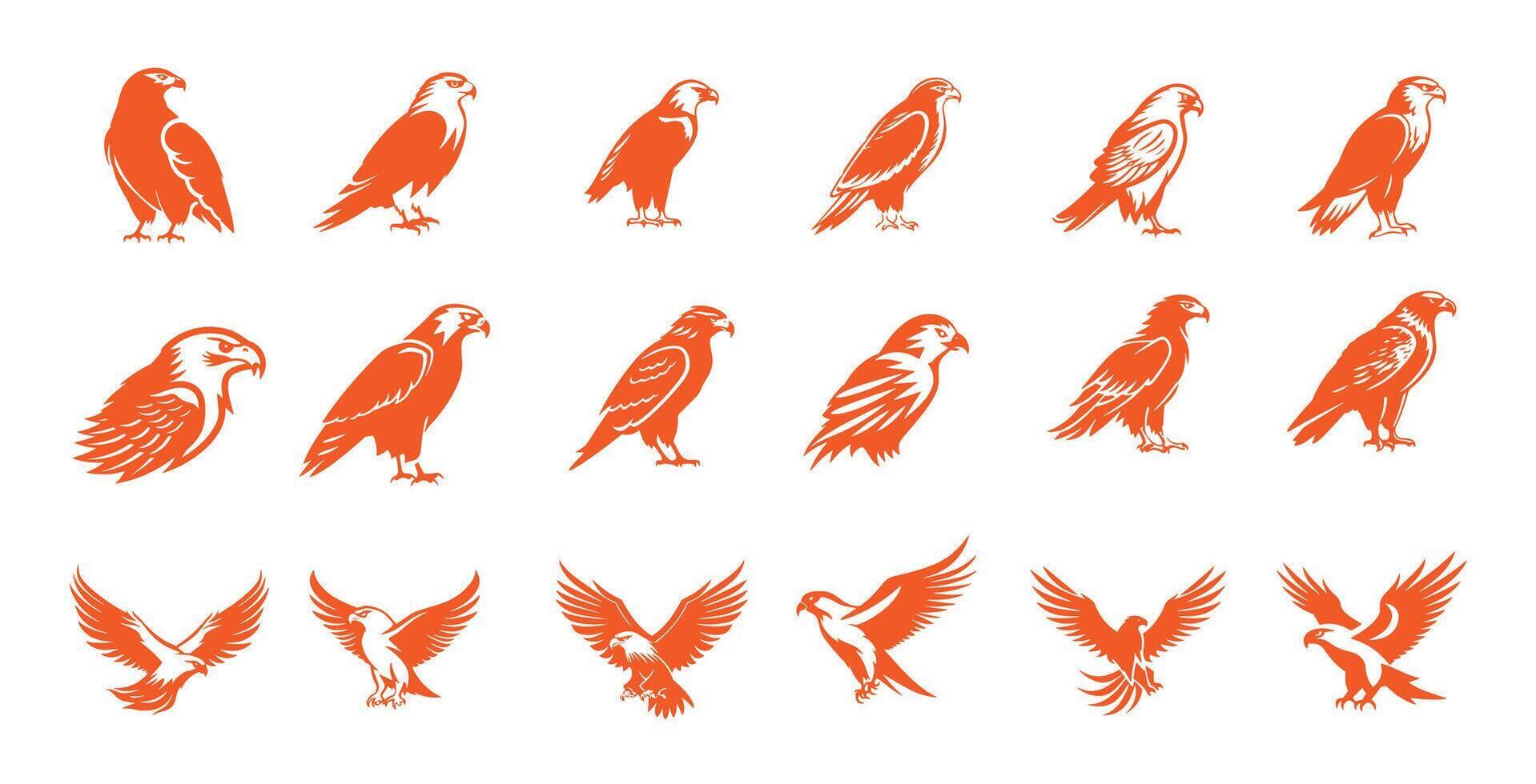 Set of eagle, collection of hawk logo icon isolated on white background vector