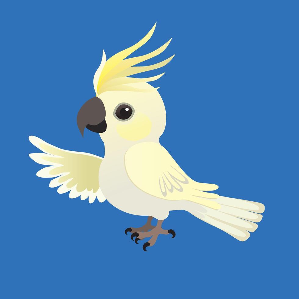 An illustration of a cute sulphur-crested cockatoo vector