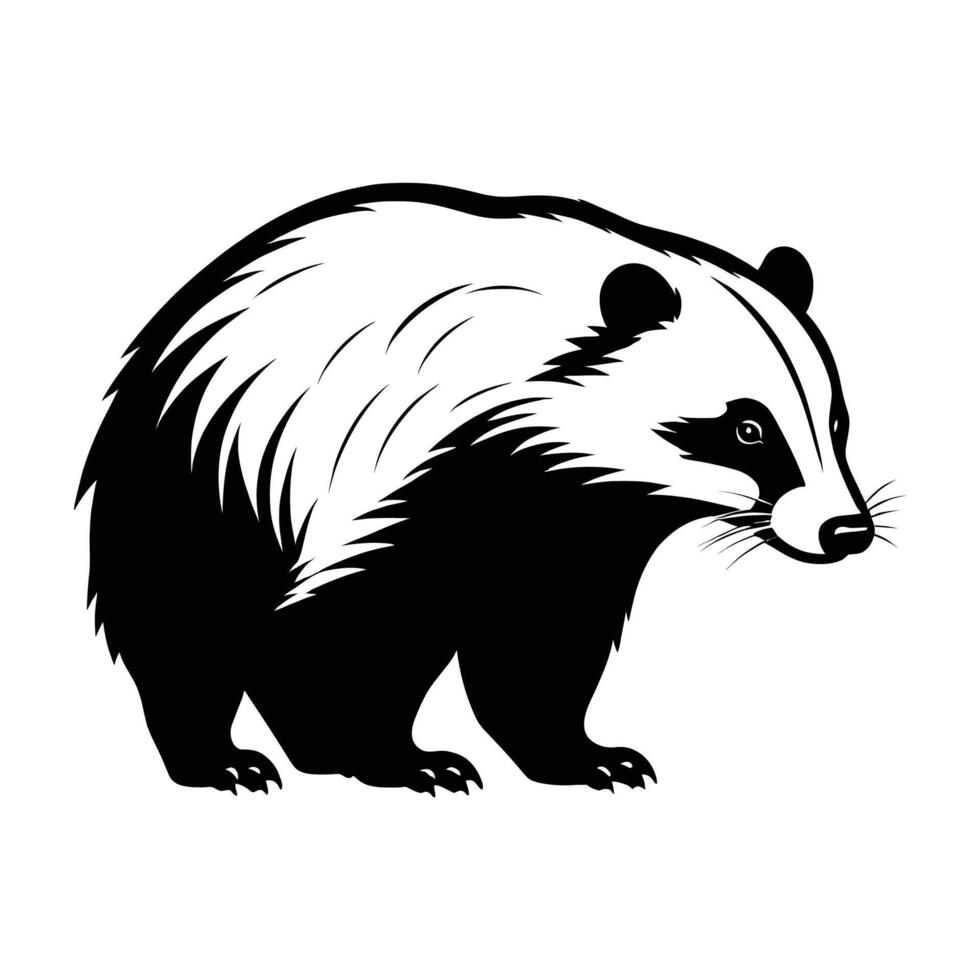 Crouching Badger Silhouette on White Background vector