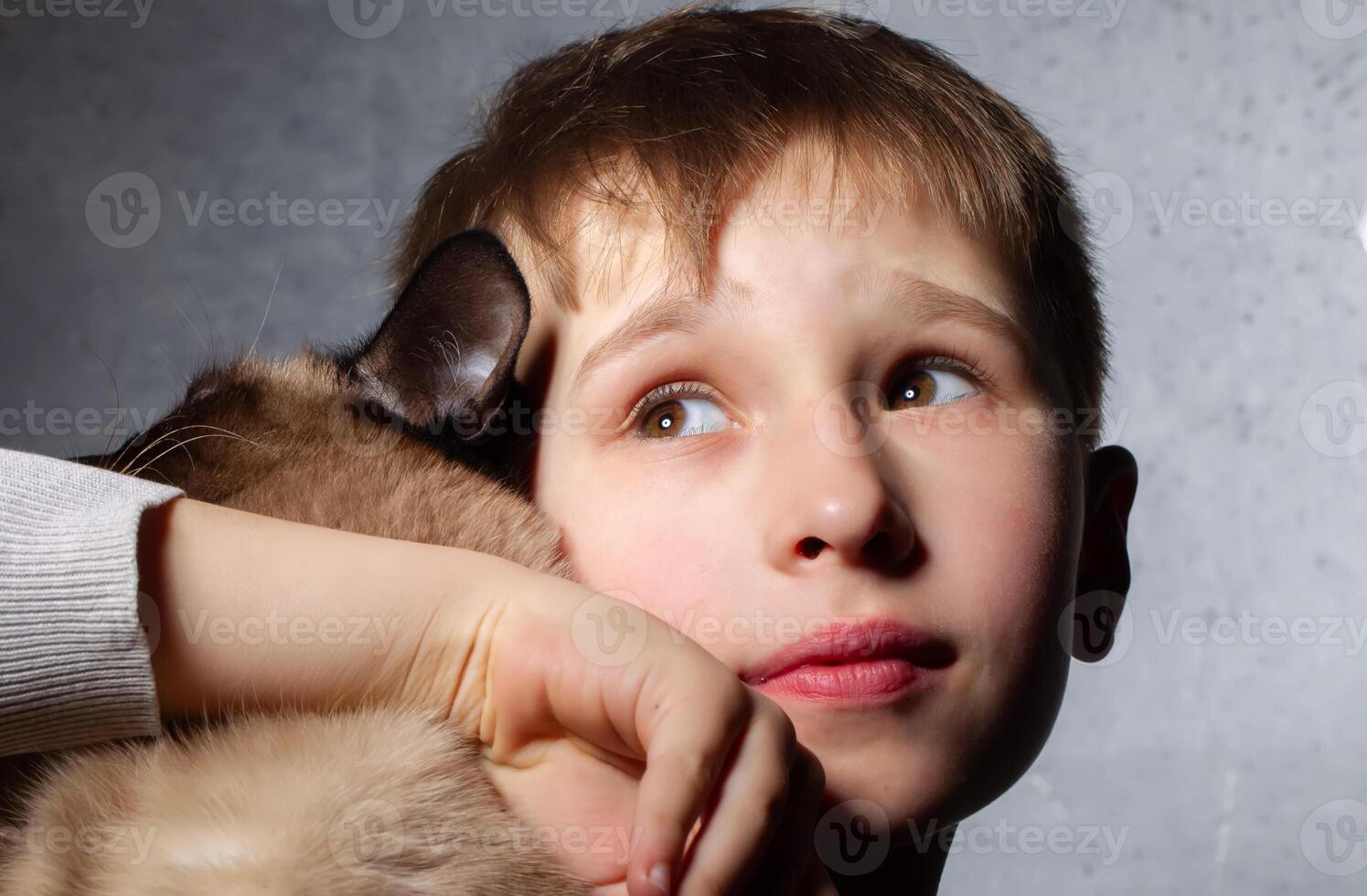 The little boy hugged the cat to himself. photo