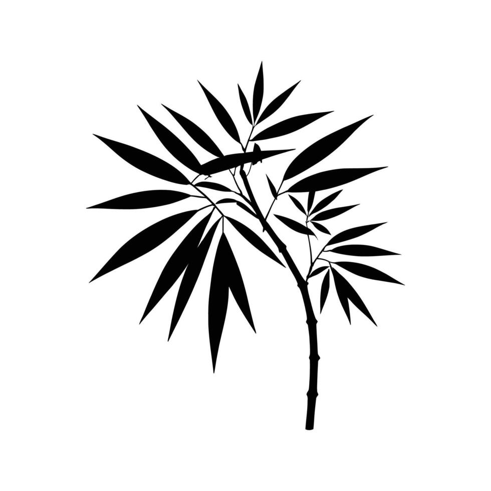 Long Bamboo Leaf Silhouette with Slender Stem on White Background vector