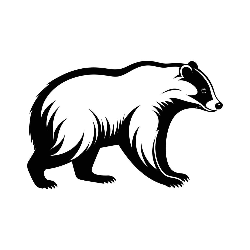 Detailed Badger Silhouette in Side View on White Background vector