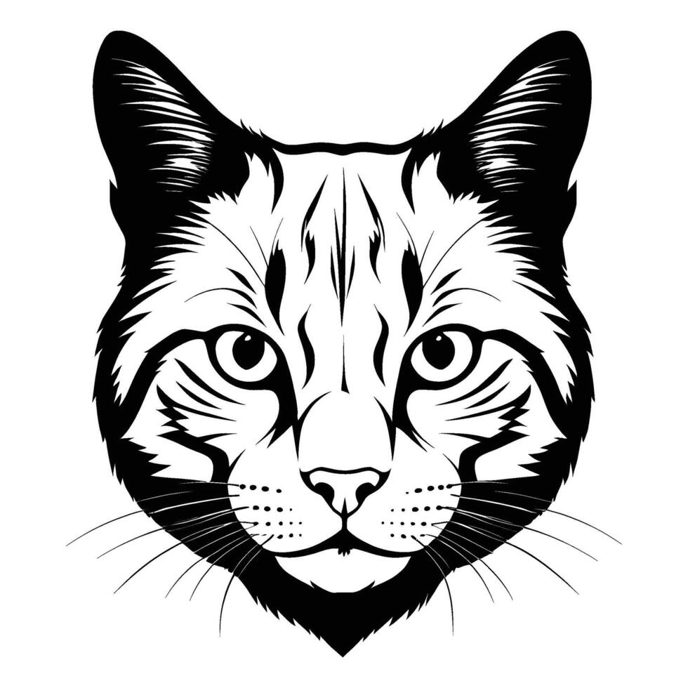 Adorable Scottish Cat Head Silhouette Facing Forward on White Background vector